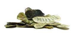 φύλλα Αιγύπτου - βότανα